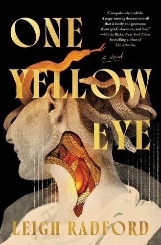 Cover image for One Yellow Eye