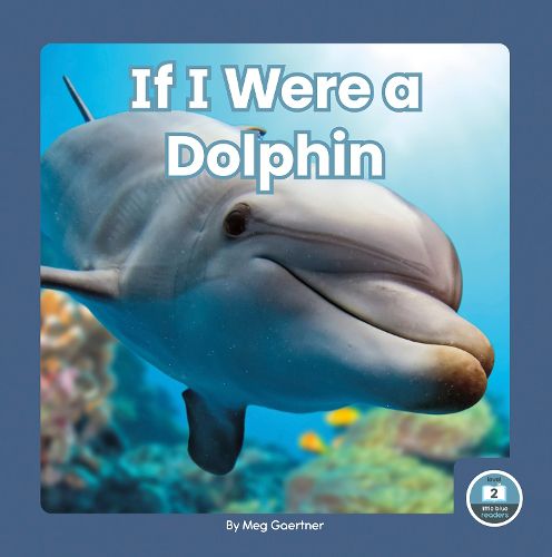 Cover image for If I Were a Dolphin