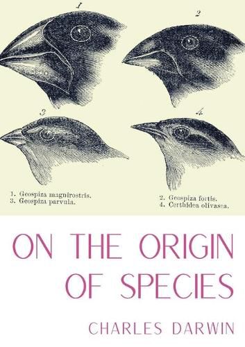 Cover image for On the Origin of Species