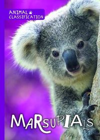Cover image for Marsupials