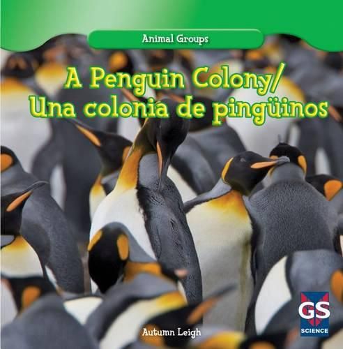 Cover image for A Penguin Colony / Una Colonia de Pinguinos