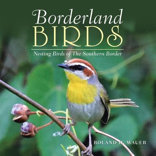 Cover image for Borderland Birds: Nesting Birds of the Southern Border