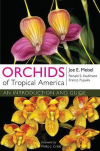 Cover image for Orchids of Tropical America: An Introduction and Guide