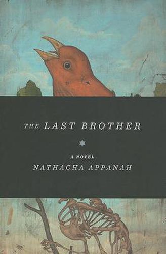 Cover image for The Last Brother