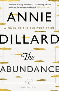 Cover image for The Abundance