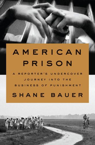 Cover image for American Prison: A Reporter's Undercover Journey Into the Business of Punishment
