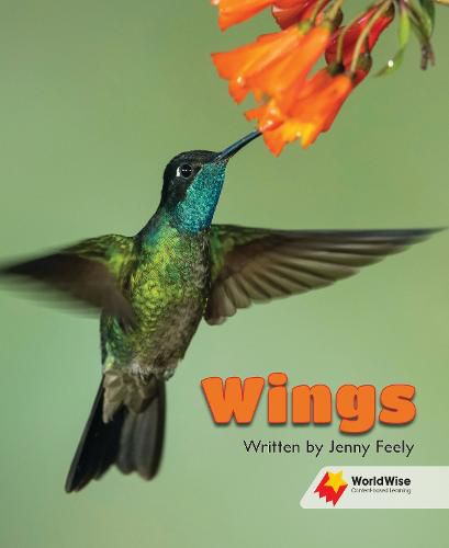 Cover image for Wings