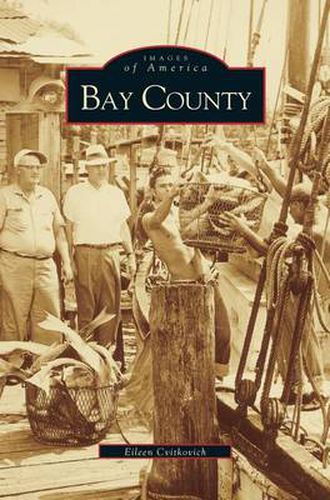 Cover image for Bay County