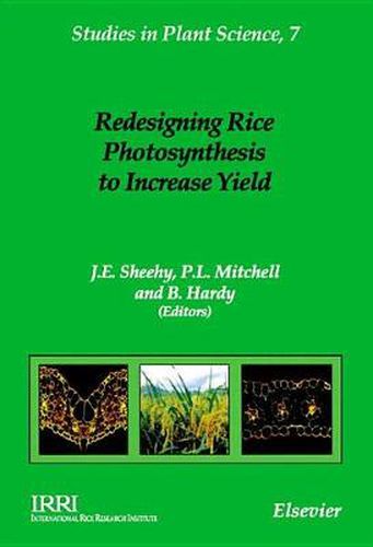 Cover image for Redesigning Rice Photosynthesis to Increase Yield