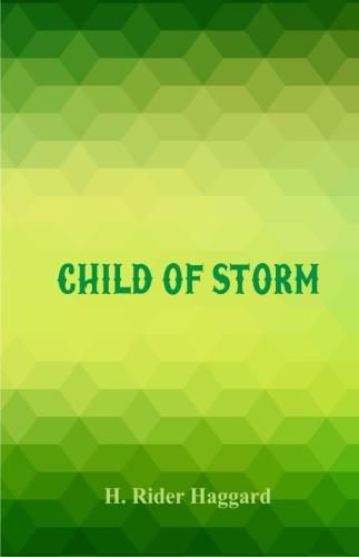 Cover image for Child of Storm