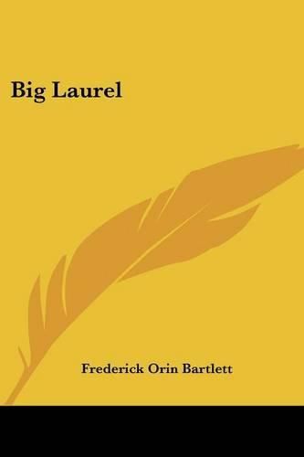 Cover image for Big Laurel