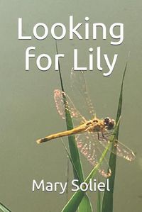 Cover image for Looking for Lily