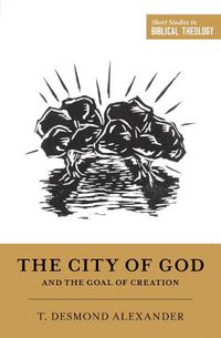 Cover image for The City of God and the Goal of Creation