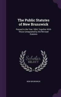 Cover image for The Public Statutes of New Brunswick: Passed in the Year 1854, Together with Those Unrepealed by the Revised Statutes