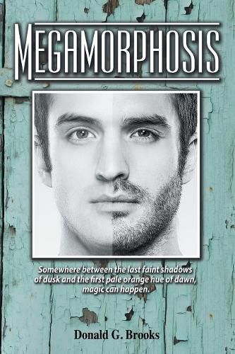 Cover image for Megamorphosis