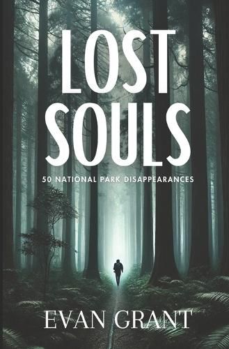 Cover image for Lost Souls