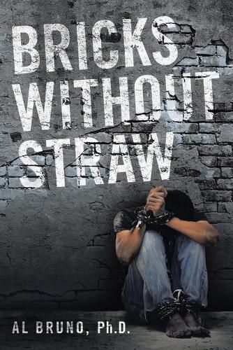 Cover image for Bricks Without Straw