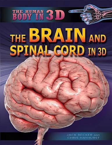 Cover image for The Brain and Spinal Cord in 3D