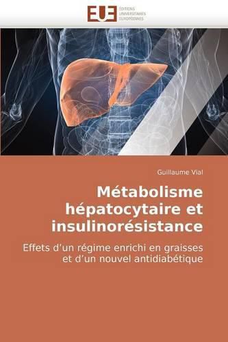 Cover image for Mtabolisme Hpatocytaire Et Insulinorsistance