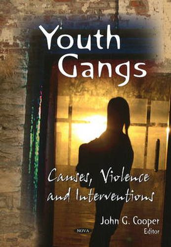 Cover image for Youth Gangs: Causes, Violence & Interventions