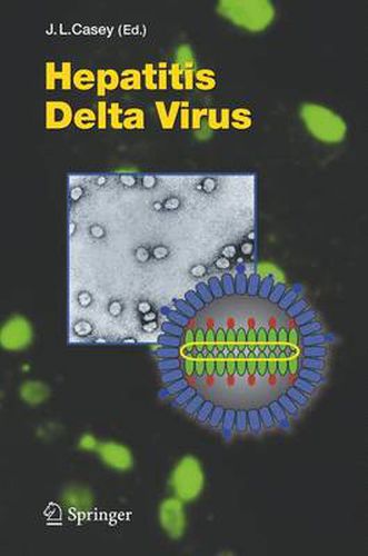 Cover image for Hepatitis Delta Virus