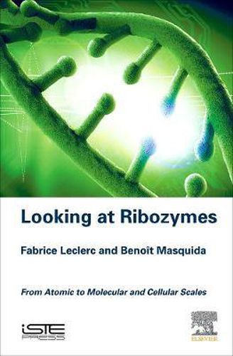 Cover image for Looking at Ribozymes: From Atomic to Molecular and Cellular Scales