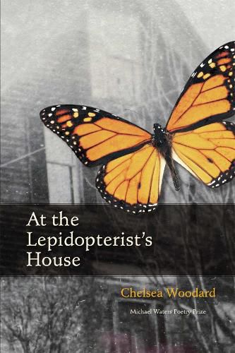 Cover image for At the Lepidopterist's House