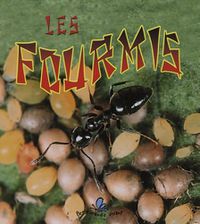 Cover image for Les Fourmis