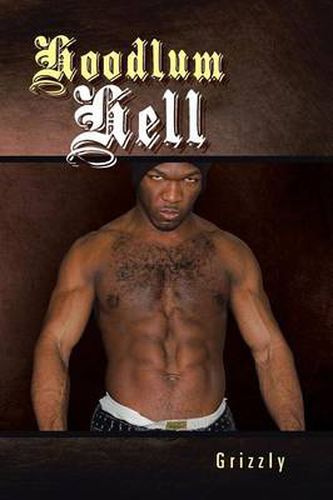 Cover image for Hoodlum Hell