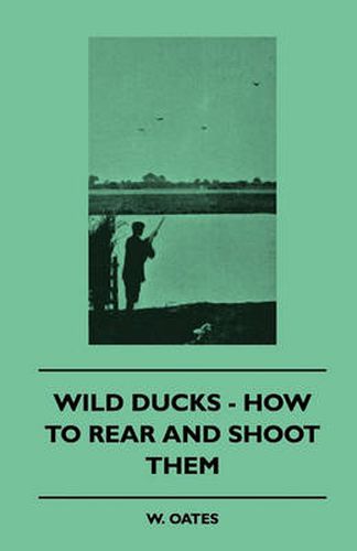 Cover image for Wild Ducks - How To Rear And Shoot Them