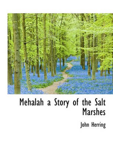 Cover image for Mehalah a Story of the Salt Marshes