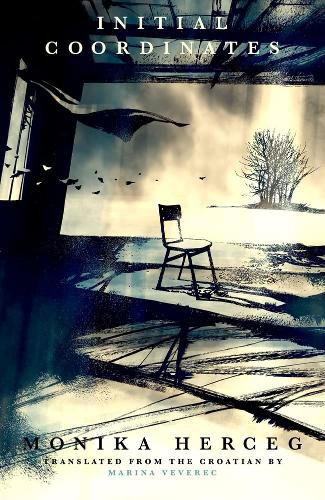 Cover image for Initial Coordinates