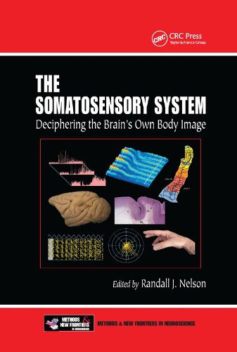 Cover image for The Somatosensory System: Deciphering the Brain's Own Body Image