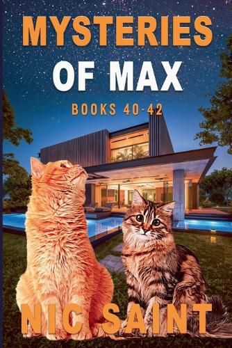 Cover image for Mysteries of Max