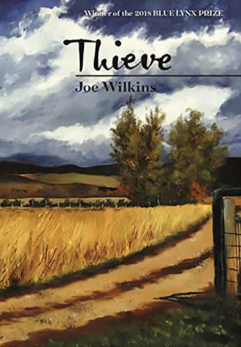 Cover image for Thieve