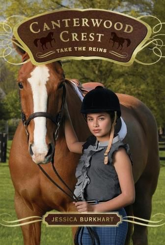 Cover image for Take the Reins