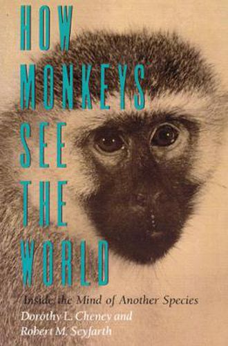 Cover image for How Monkeys See the World: Inside the Mind of Another Species