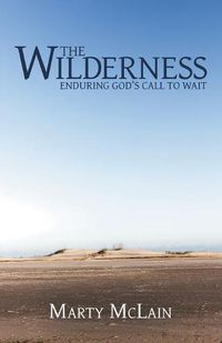 Cover image for The Wilderness: Enduring God'S Call to Wait