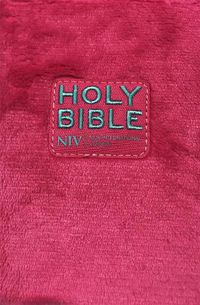 Cover image for NIV Pocket Fluffy Pink Bible