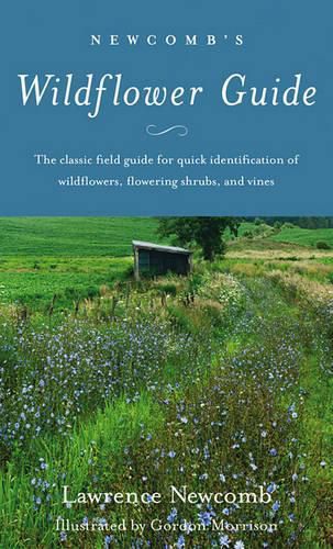 Cover image for Newcomb's Wildflower Guide: An Ingenious New Key System for Quick, Positive Field Identification of Wildflowers, Flowering Shrubs and Vines