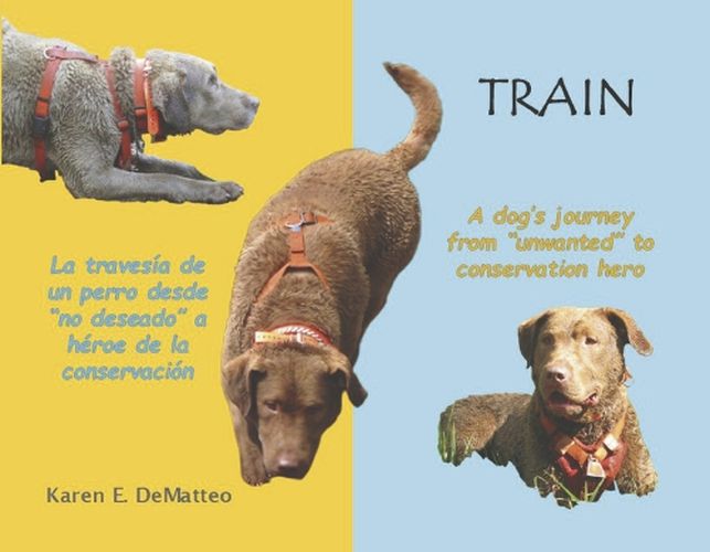 Cover image for Train - A dog's journey from 'unwanted' to conservation hero