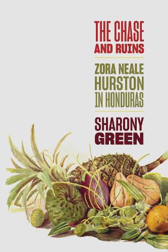 Cover image for The Chase and Ruins