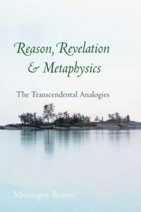 Cover image for Reason, Revelation, and Metaphysics: The Transcendental Analogies