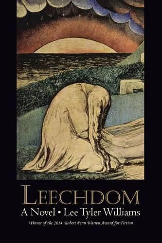 Cover image for Leechdom