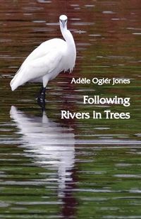 Cover image for Following Rivers in Trees