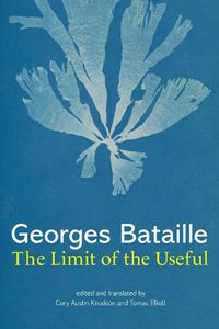 Cover image for The Limit of the Useful