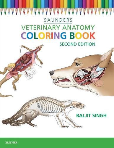 Cover image for Veterinary Anatomy Coloring Book