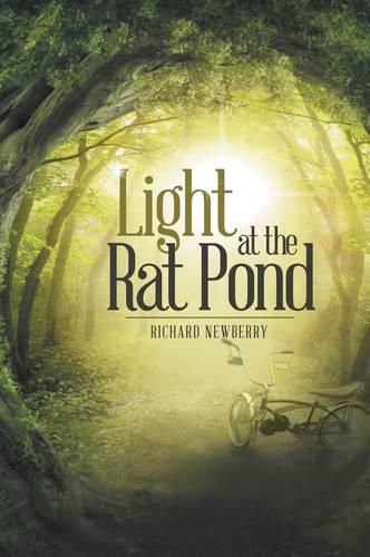 Cover image for Light at the Rat Pond