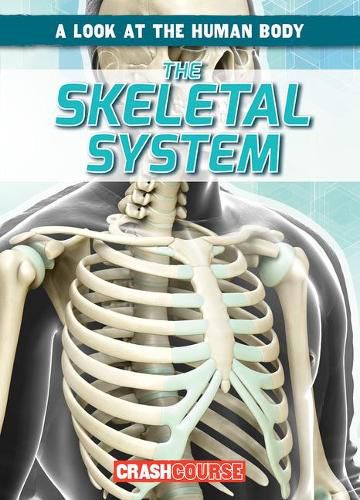 Cover image for The Skeletal System