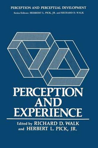 Cover image for Perception and Experience